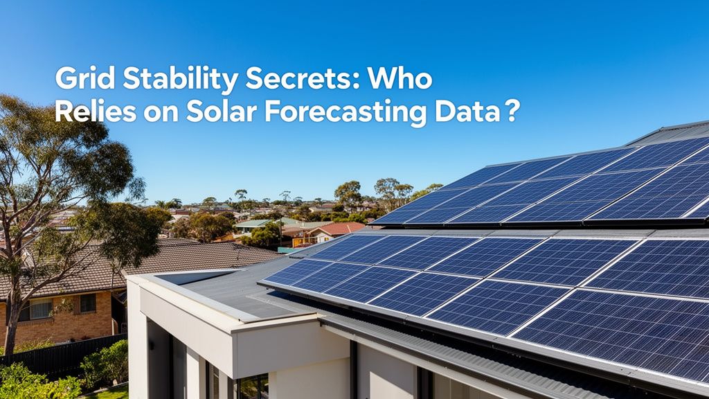 Grid Stability Secrets: Who Relies on Solar Forecasting Data?